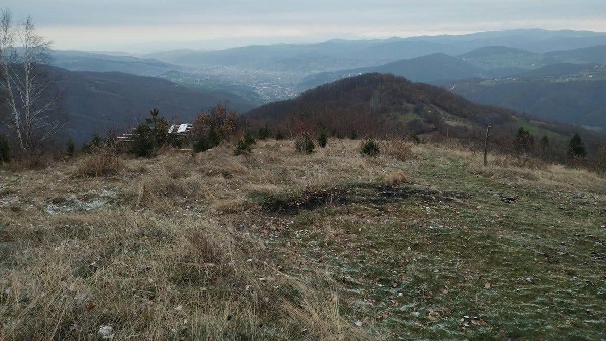 a grassy field with a house in the distance